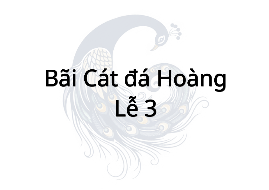 Bãi cát đá Hoàng Lễ 3