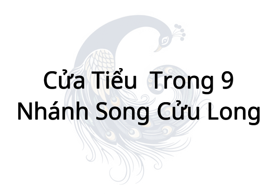 Cửa Tiểu ( trong 9 nhánh song Cửu Long )