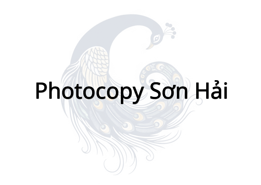 Photocopy Sơn Hải