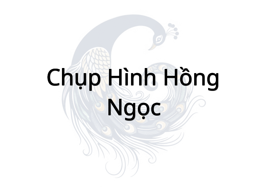 Chụp Hình Hồng Ngọc