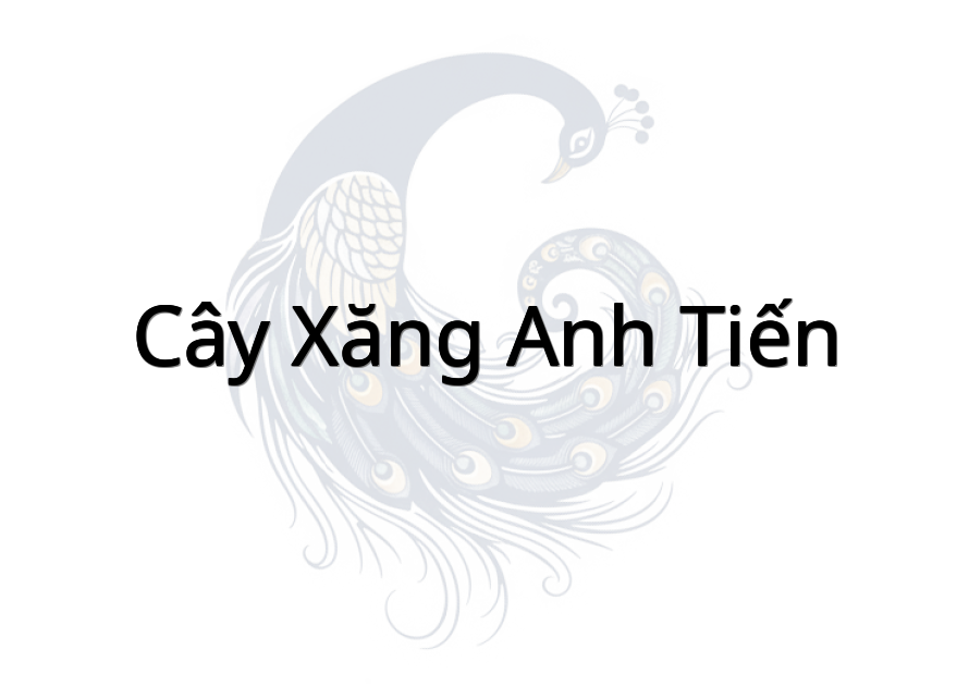 Cây xăng Anh Tiến