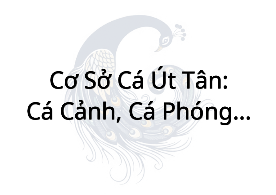 Cơ sở cá Út Tân: cá cảnh, cá phóng sanh, cá giống