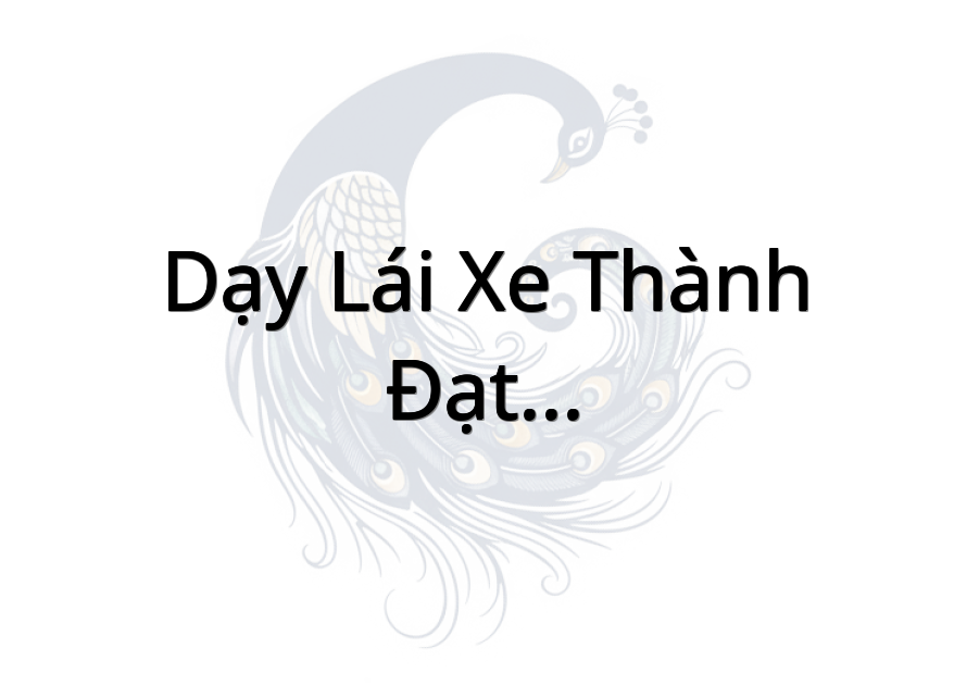 Dạy lái xe Thành Đạt- CN Gò Công