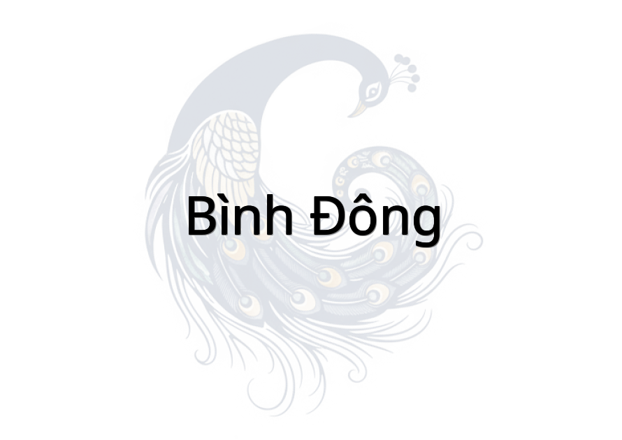 Bình Đông