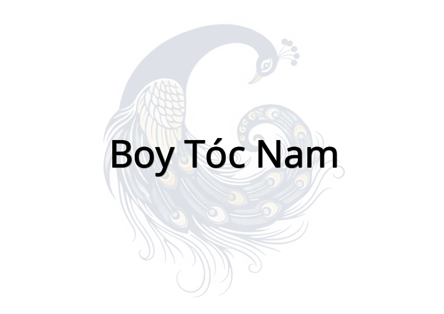Boy Tóc Nam