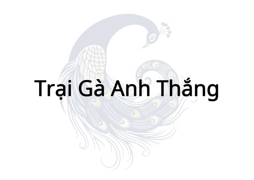 Trại gà anh Thắng