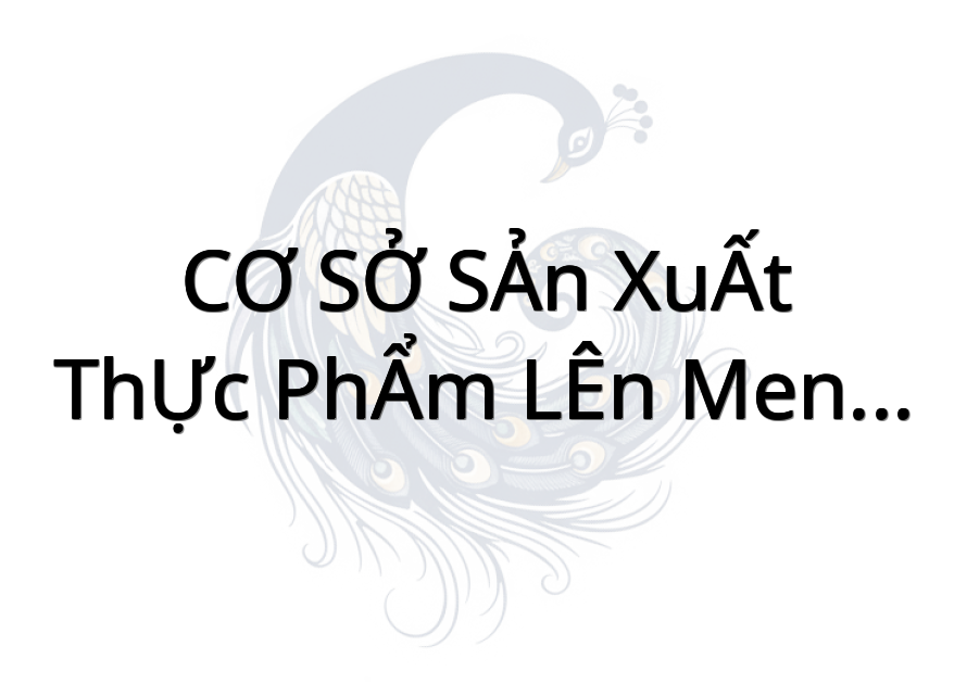 CƠ SỞ SẢN XUẤT THỰC PHẨM LÊN MEN TỰ NHIÊN KHỔNG TƯỚC NGUYÊN