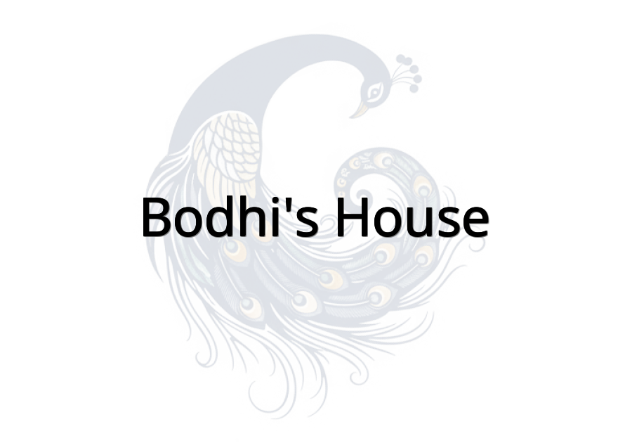 Bodhi's House