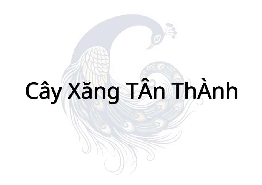 Cây Xăng TÂN THÀNH
