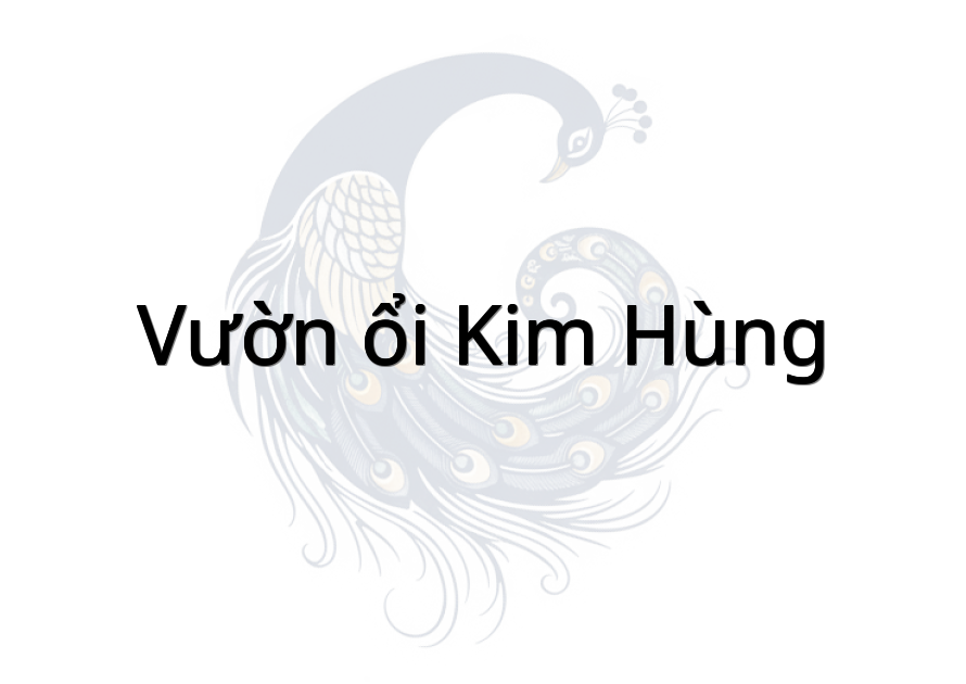Vườn ổi Kim Hùng