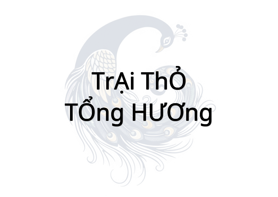 TRẠI THỎ - TỔNG HƯƠNG