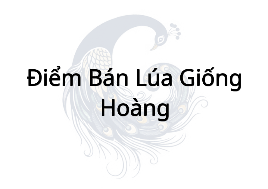 Điểm Bán Lúa Giống Hoàng