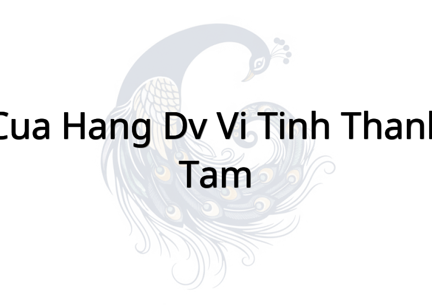 CUA HANG DV VI TINH THANH TAM