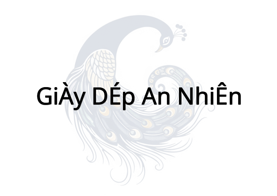 GIÀY DÉP AN NHIÊN