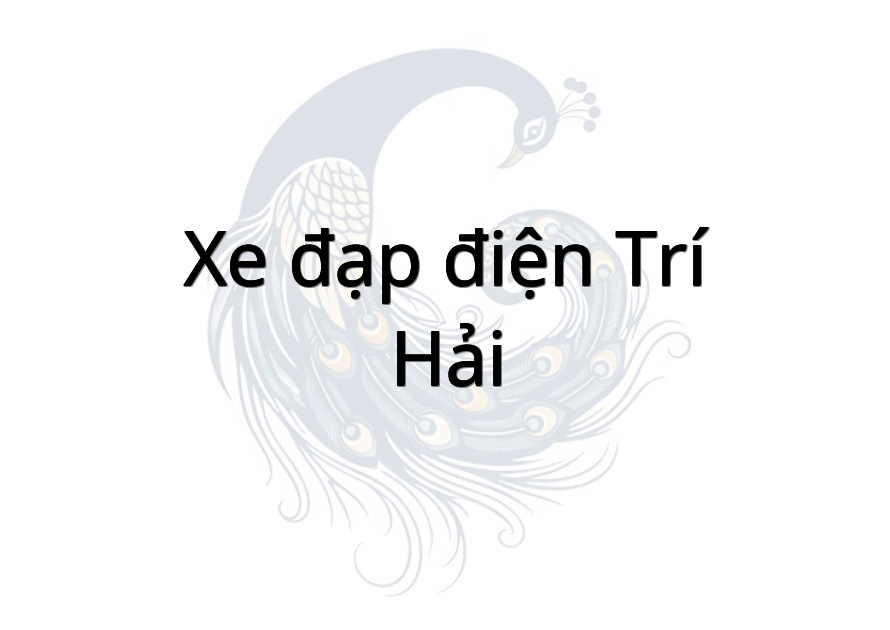 Xe đạp điện Trí Hải