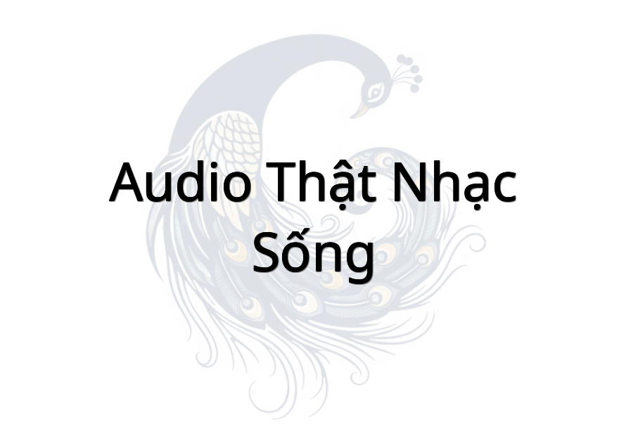 Audio Thật Nhạc sống