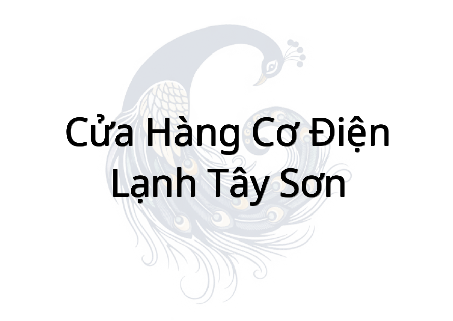 Cửa hàng cơ Điện lạnh Tây Sơn