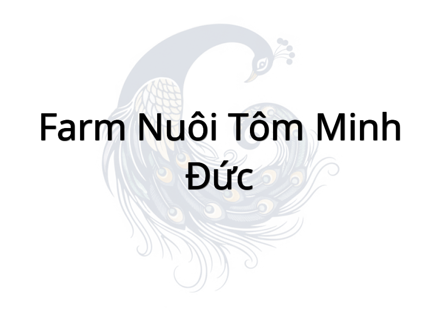 Farm nuôi tôm Minh Đức