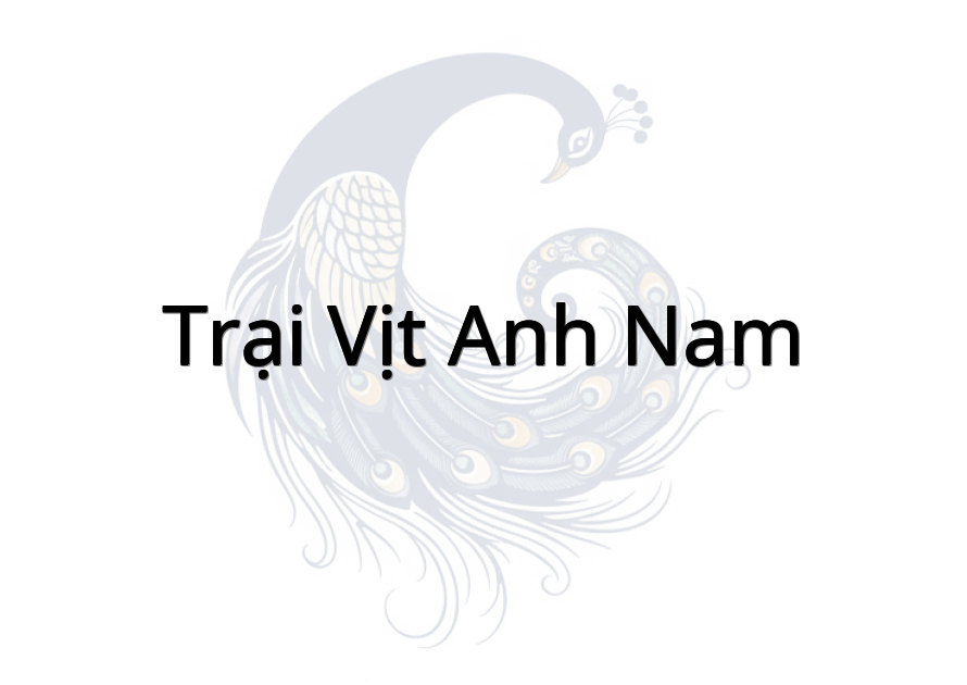 Trại vịt anh Nam