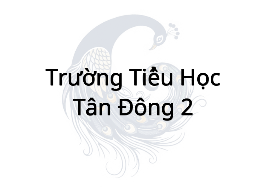 Trường Tiểu Học Tân Đông 2