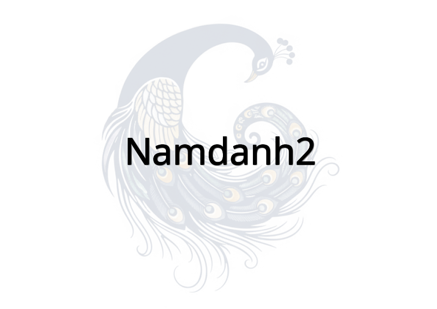 namdanh2