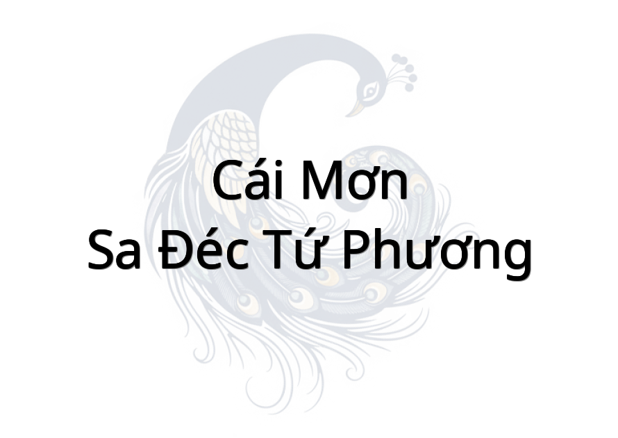 Cái Mơn - Sa Đéc Tứ Phương