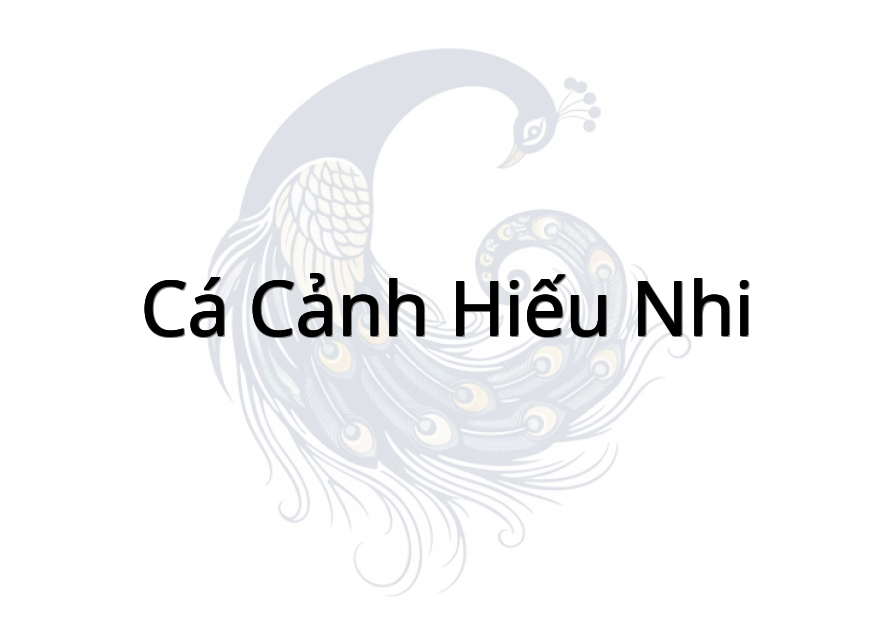 Cá Cảnh Hiếu Nhi