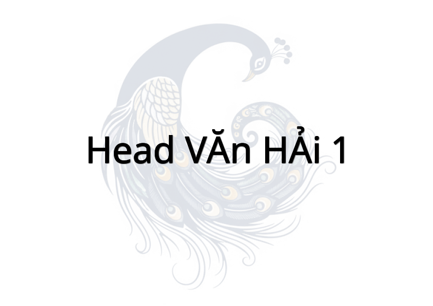 HEAD VĂN HẢI 1
