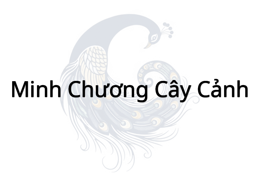 Minh Chương cây cảnh