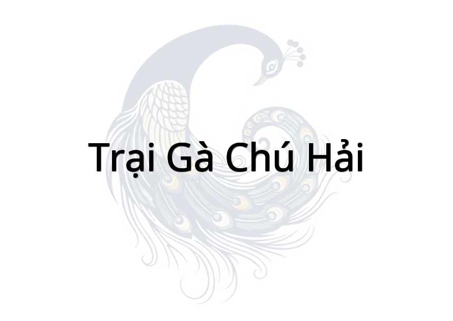 Trại gà chú Hải