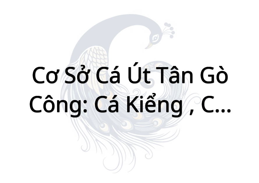 Cơ sở cá Út Tân Gò Công: cá kiểng , cá giống, cá phóng sanh