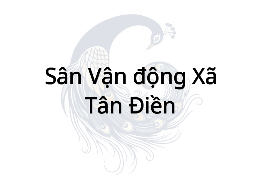Sân vận động xã Tân Điền