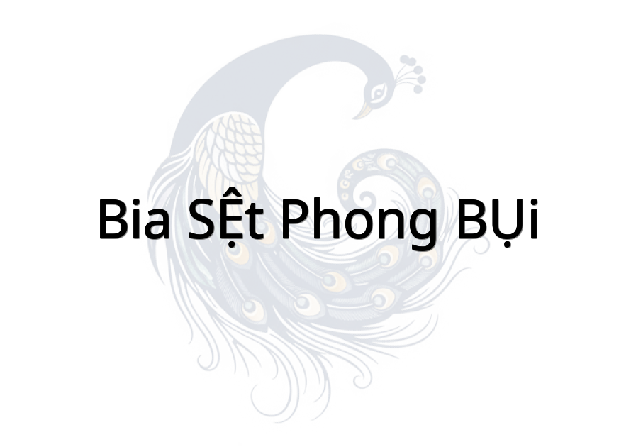 BIA SỆT PHONG BỤI